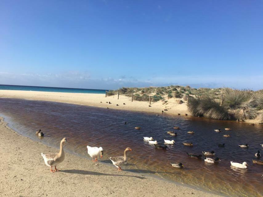 Apartamento El Descanso Son Bou Exteriör bild