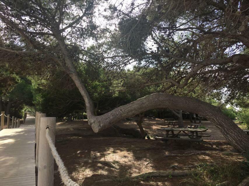 Apartamento El Descanso Son Bou Exteriör bild